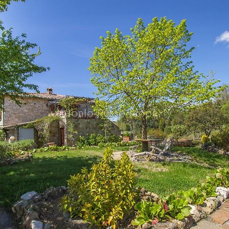 Ca'Novae - Tuscany Farmhouse Montieri Екстериор снимка